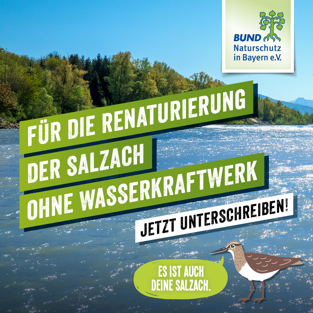 Bayerischer Kanu-Verband, Umwelt