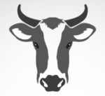 Offene Bayerische Meisterschaft und Kuhsee Cup